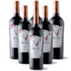 Argana Wines Merlot